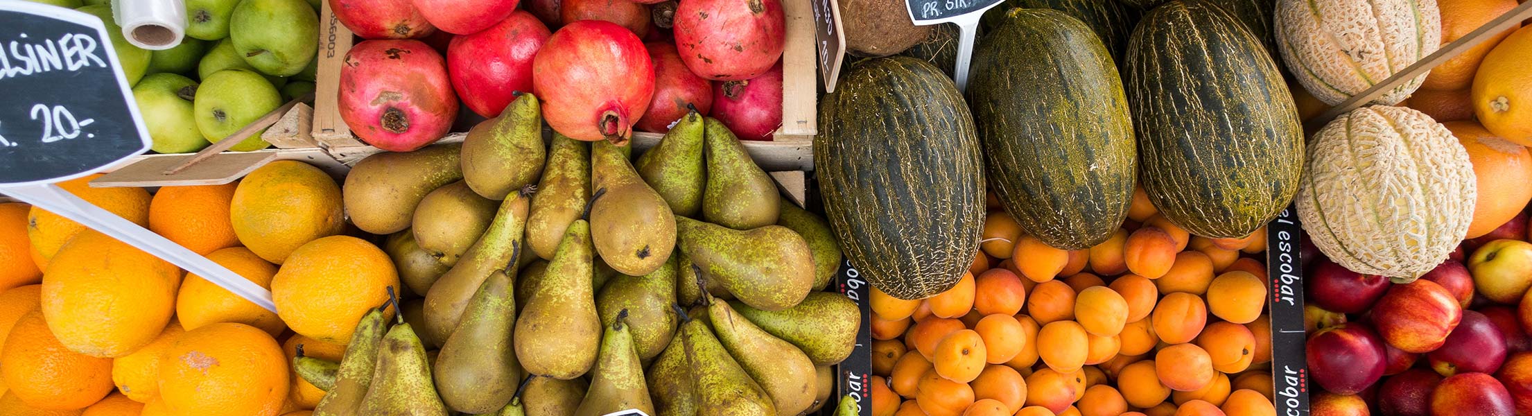 Ernährungscoaching Titelbild