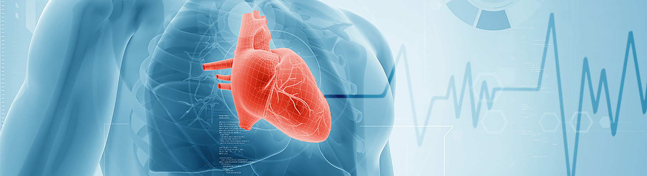 HRV Messung Header