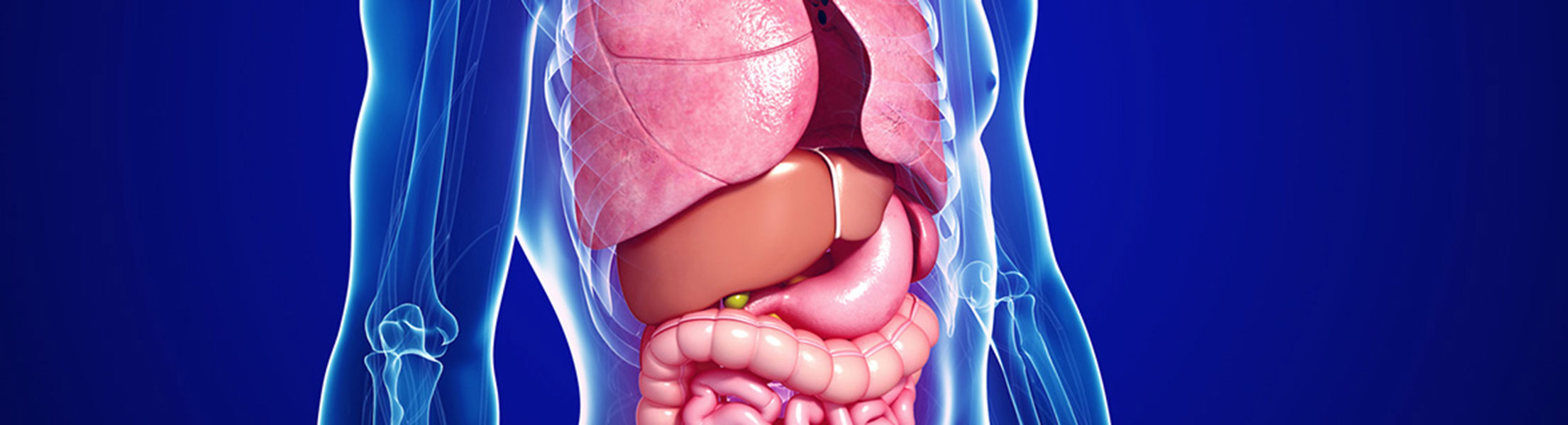 Bioscan Titelbild