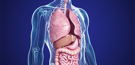 Bioscan